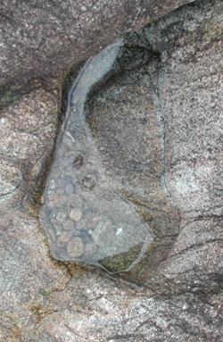 hypnose