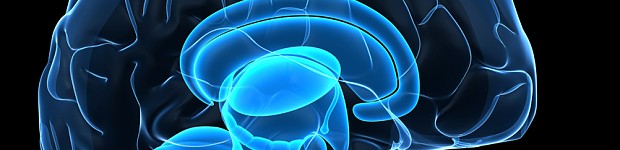 Cerveau du psychopathe et du pervers narcissique